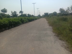 Plot Area in  Plot at Altus Muirwood Ecocity, North Kharar – for Sale