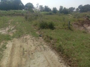 Plot Area in  Plot at Altus Muirwood Ecocity, North Kharar – for Sale