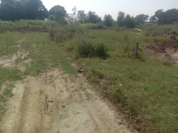 Plot Area in  Plot at Altus Muirwood Ecocity, North Kharar – for Sale
