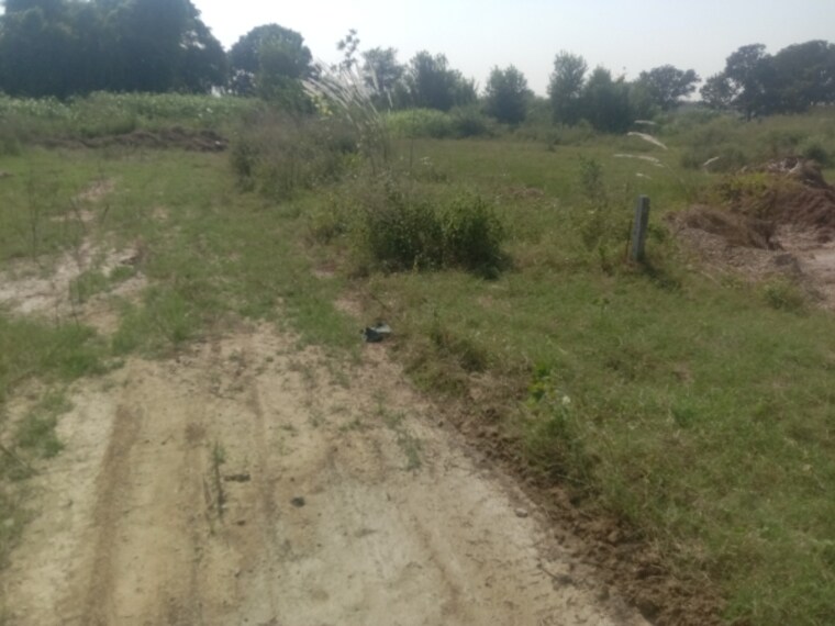 undefined, altus-muirwood-ecocity  334 Sq.Yd. Plot In North Kharar Chandigarh 9269963