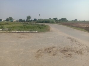 Plot Area in  Plot at Altus Muirwood Ecocity, North Kharar – for Sale