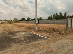 Plot Area in  Plot at Kalapatti – for Sale