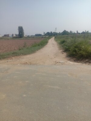 Plot Area in  Plot at Altus The Junction, Saini Majra – for Sale