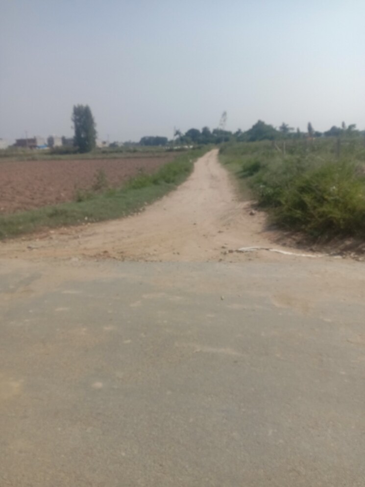 undefined, altus-the-junction  127 Sq.Yd. Plot In Saini Majra Chandigarh 9270009