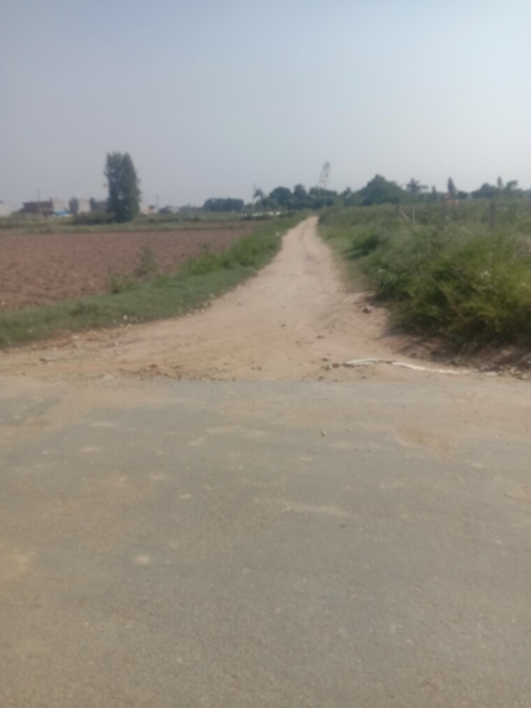 undefined, altus-the-junction  127 Sq.Yd. Plot In Saini Majra Chandigarh 9270009