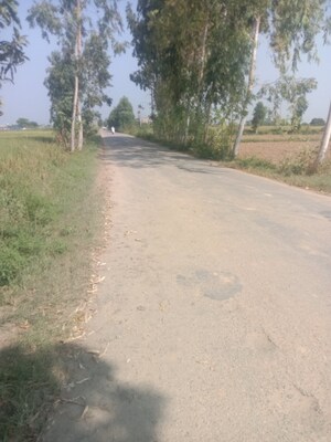 Plot Area in  Plot at Altus The Junction, Saini Majra – for Sale