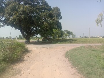 Plot Area in  Plot at Altus The Junction, Saini Majra – for Sale