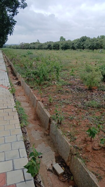 Plot Area in  Plot at Hoskote – for Sale