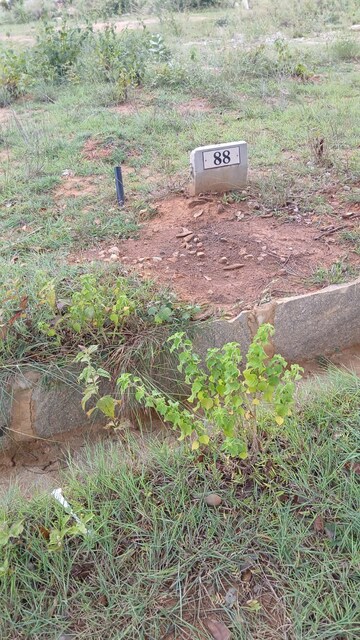Plot Area in  Plot at Hoskote – for Sale