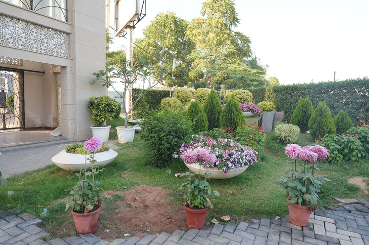 Garden, ireo-nuspark  118 Sq.Yd. Plot In Sohna Sector 4 Gurgaon 9270117