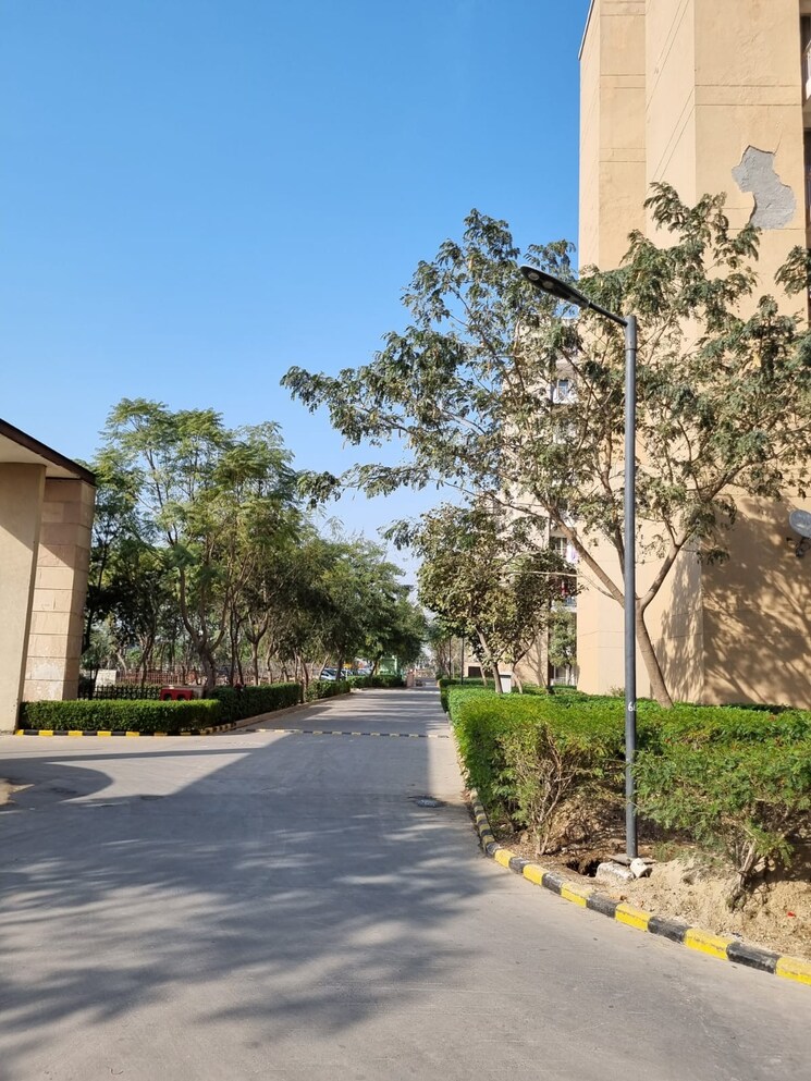 Garden, puri-pratham 1 RK 250 Sq.Ft. Apartment In Sector 84 Faridabad 9270125