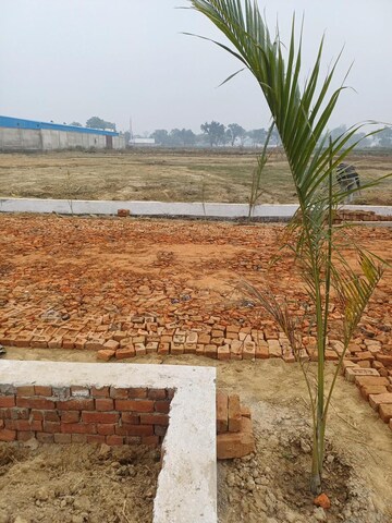 Plot Area in  Plot at Rohania – for Sale