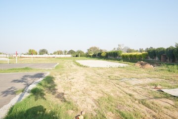 Plot Area in  Plot at Ireo Nuspark, Sohna Sector 4 – for Sale