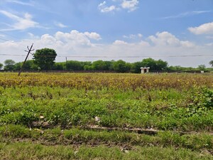  Land For Sale in Ujjain Road