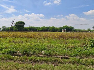  Land For Sale in Ujjain Road