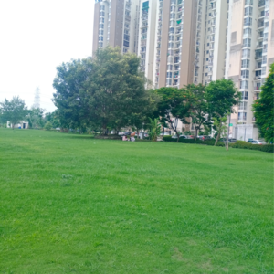 2 BHK Apartment – Garden View at Jaypee Greens Aman, Sector 151 - for Sale