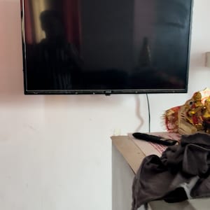 Others in 1 BHK Apartment at Auric City Homes, Neharpar Phase 2 – for Rent