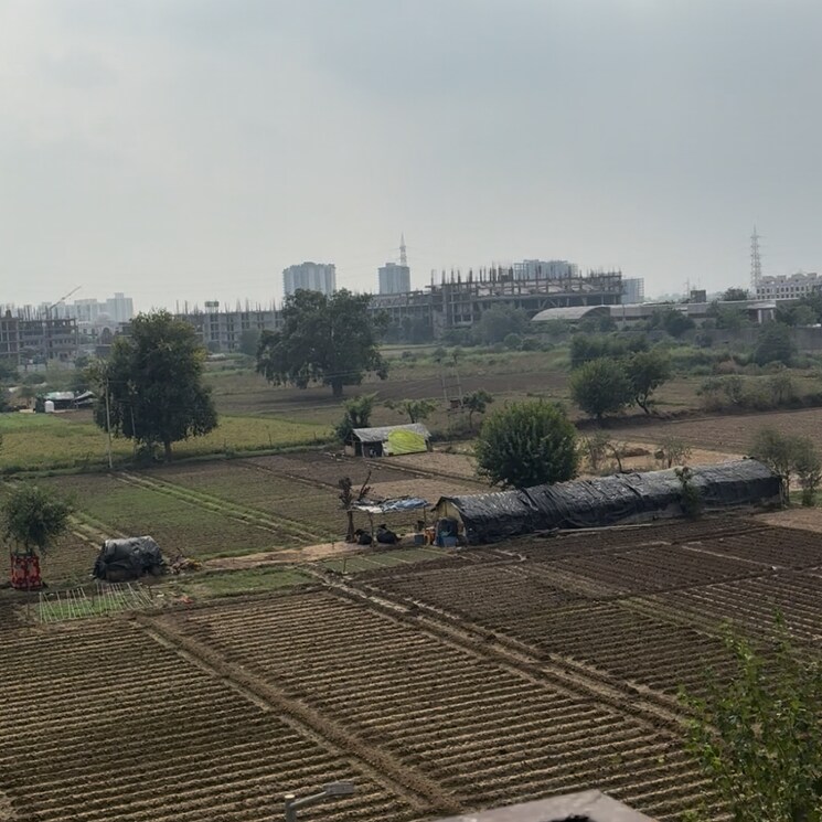 Others, auric-city-homes 1 Bedroom 357 Sq.Ft. Apartment In Neharpar Phase 2 Faridabad 9270392