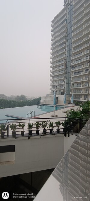 3.5 BHK Apartment For Rent in Ahinsha Naturez Park, Sector 41