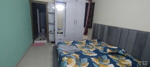 3 BHK Builder Floor For Rent in Gms Road