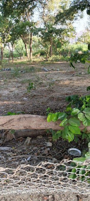  Plot For Sale in Gaur City Center, Sector 4 Greater Noida