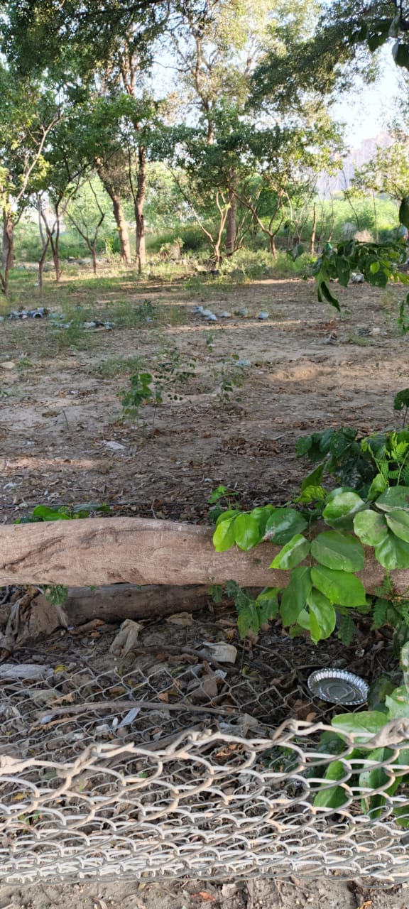 Plot For Sale in Gaur City Center