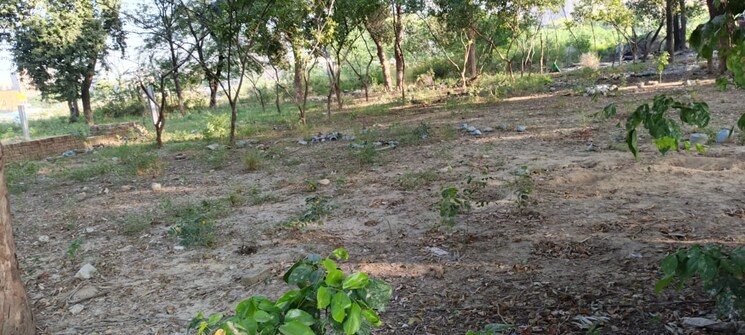 undefined, gaur-city-center  250 Sq.Yd. Plot In Sector 4 Greater Noida Greater Noida 9270547