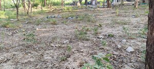 Plot Area in  Plot at Gaur City Center, Sector 4 Greater Noida – for Sale