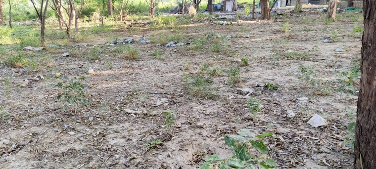 undefined, gaur-city-center  250 Sq.Yd. Plot In Sector 4 Greater Noida Greater Noida 9270547