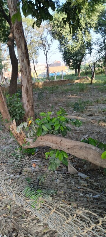  Plot For Sale in Gaur City Center, Sector 4 Greater Noida