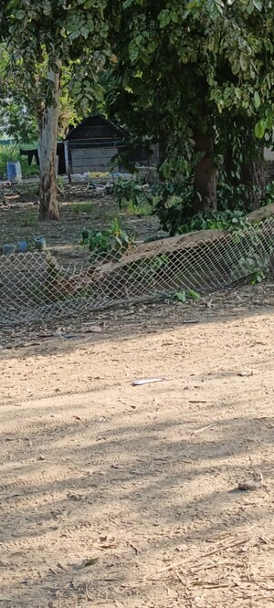 Plot Area in  Plot at Gaur City Center, Sector 4 Greater Noida – for Sale