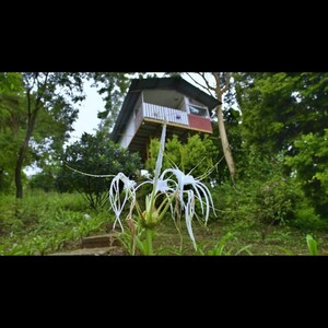  Land – Exterior View View at Lavasa Hilltown, Chandani Chowk - for Sale