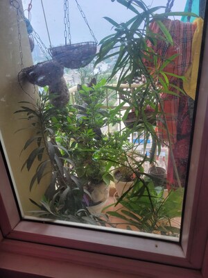 Balcony in 1 BHK Apartment at Habitech Greens, Tech Zone 4 Greater Noida – for Rent