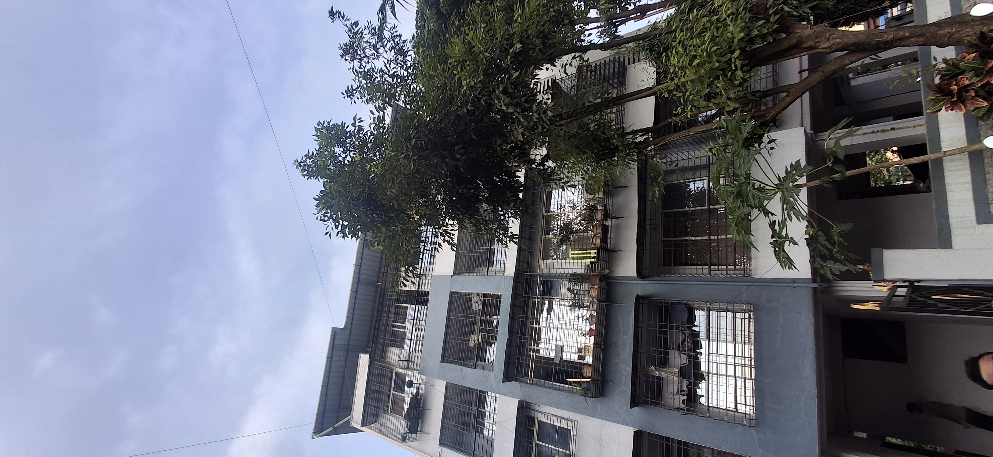 1 BHK Apartment For Rent in Kopar Khairane