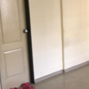 2 BHK Apartment For Rent in Essen Shonest Towers, Wakad