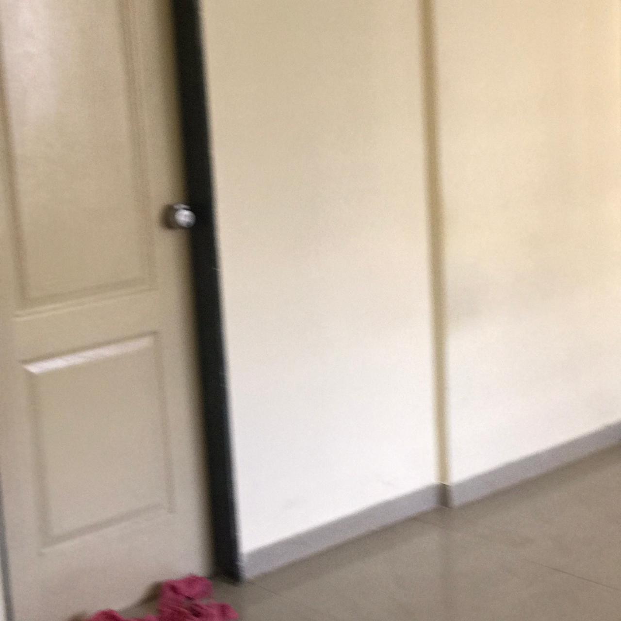 2 BHK Apartment For Rent in Essen Shonest Towers