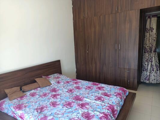 2.5 BHK + Study Room Apartment For Rent in Signature The Serenas