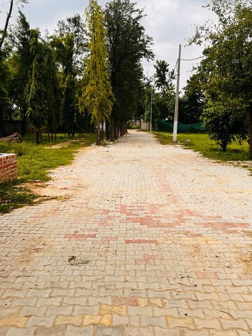 Plot Area in  Plot at Bhondsi – for Sale