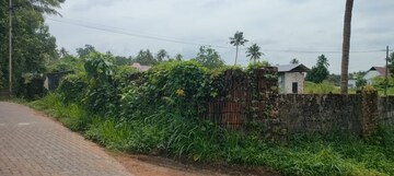 Plot Area in  Plot at Puthukkad – for Sale