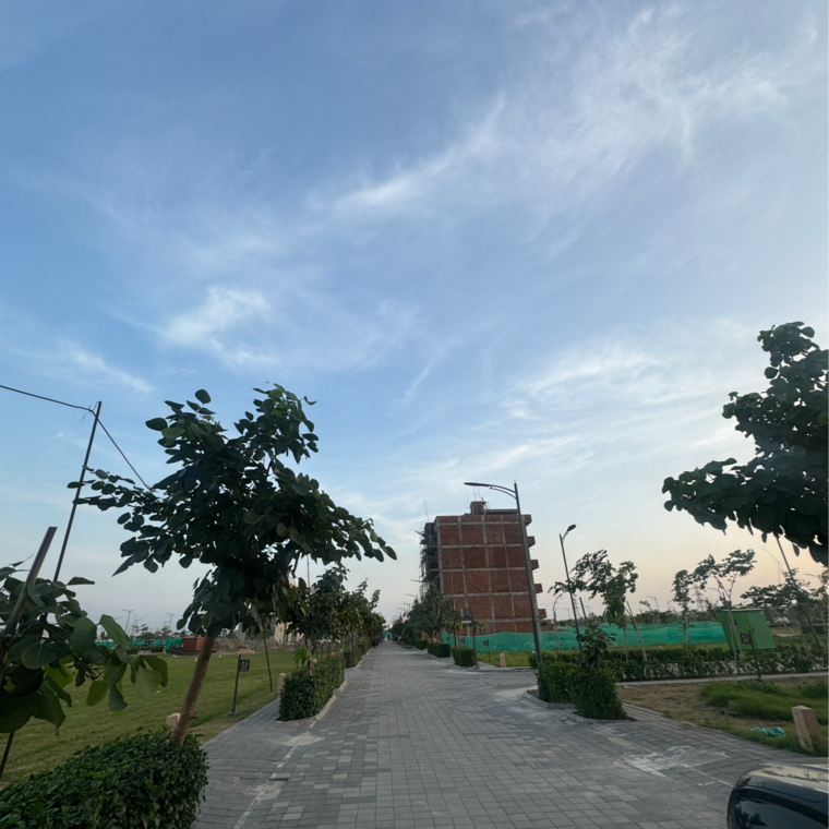 Garden, tdi city  369 Sq.Yd. Plot In Tdi City Panipat 9271145