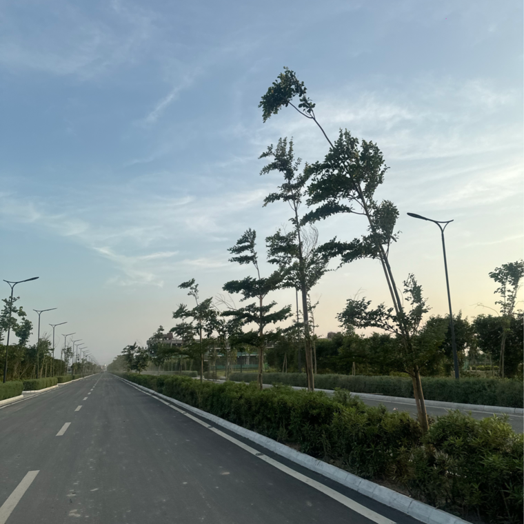 Exterior View, tdi city  369 Sq.Yd. Plot In Tdi City Panipat 9271145