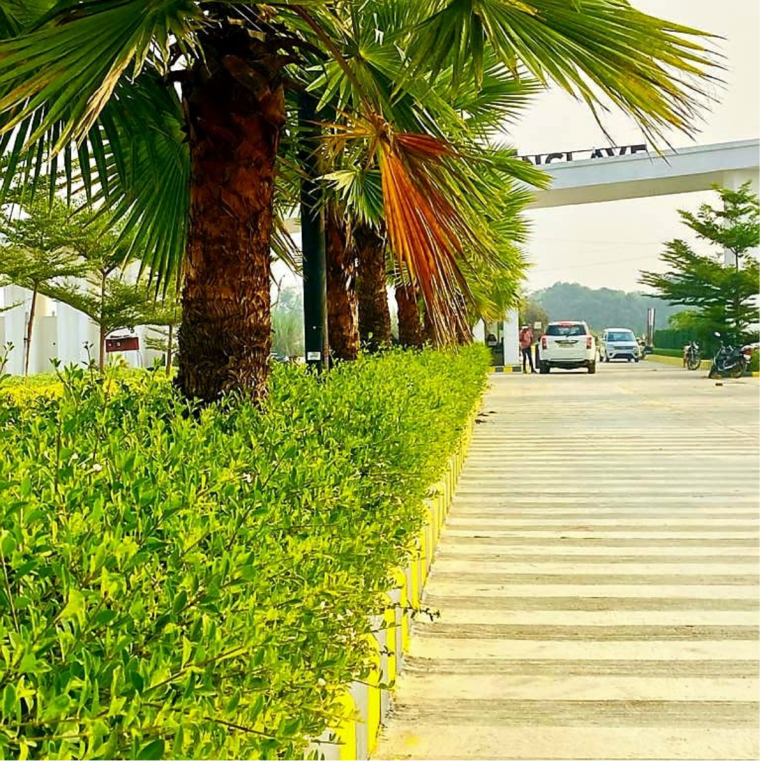 Exterior View, kailasha-enclave  1800 Sq.Ft. Plot In Hasanpur Khevali Lucknow 9271251
