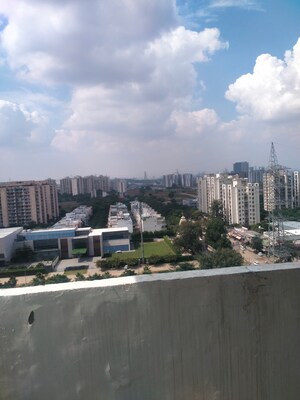 2 BHK Apartment For Rent in Tulip Lemon, Sector 69