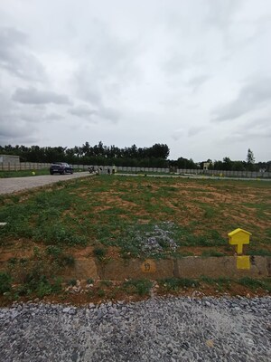  Plot For Sale in Jakkuru