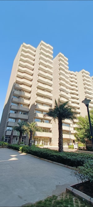 2 BHK Apartment For Rent in Pyramid Pride, Sector 76