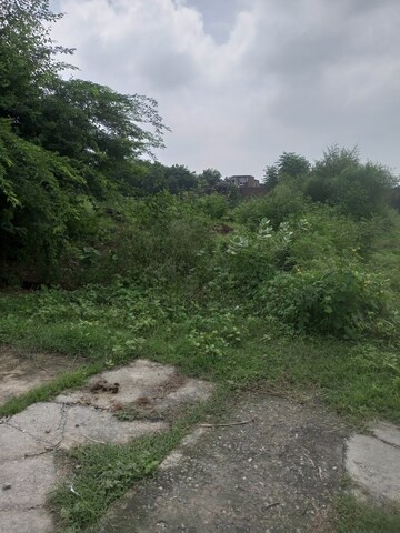 Plot Area in  Plot at Sarin Farm CHS, Habibpur – for Sale