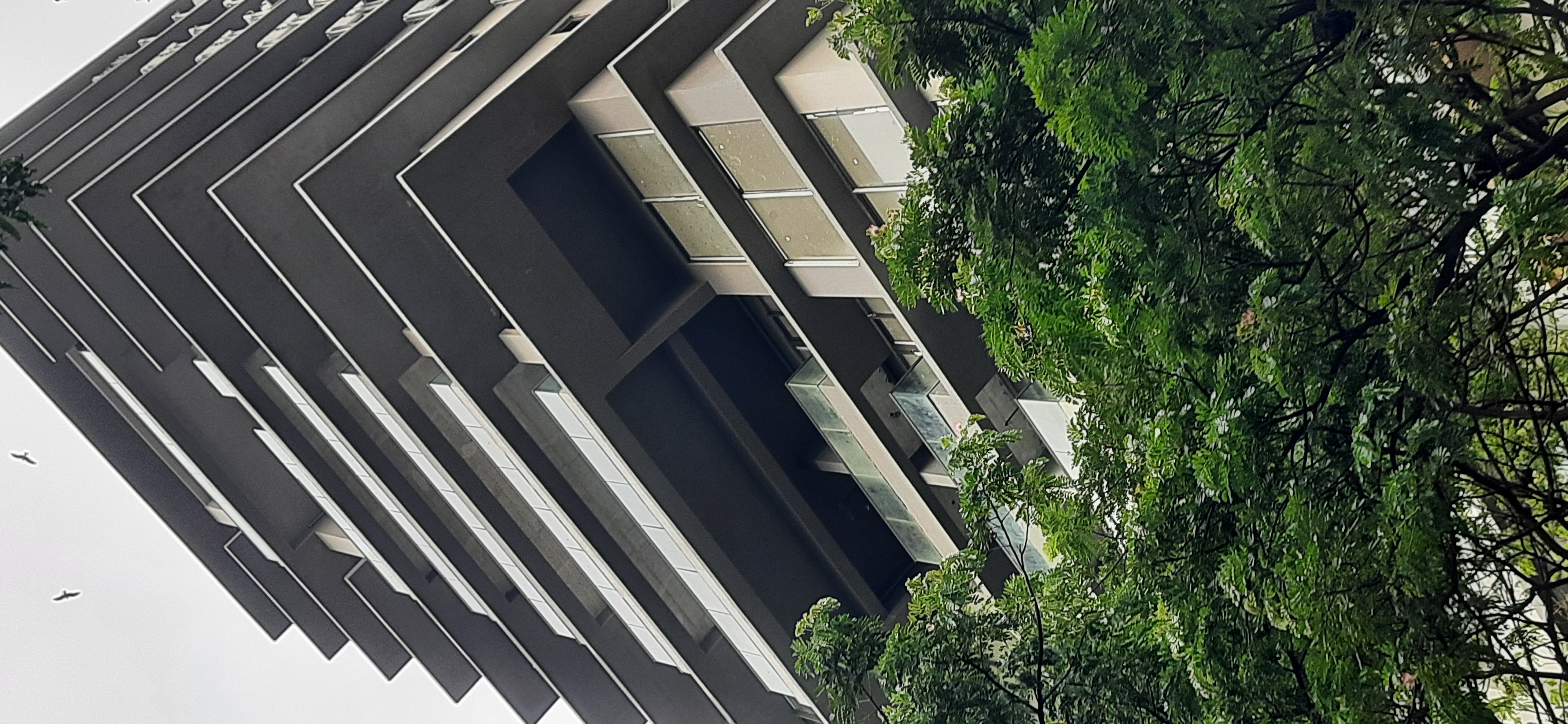 3 BHK + Pooja Room Apartment For Rent in Brand Newbuilding