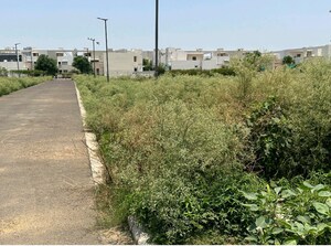 Plot Area in  Plot at Vatika Gurgaon Next Plots, Sector 82 – for Sale