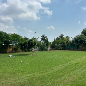 Plot Area in 3 BHK Builder Floor at Meffier Golden Park, Sohna Sector 4 – for Sale