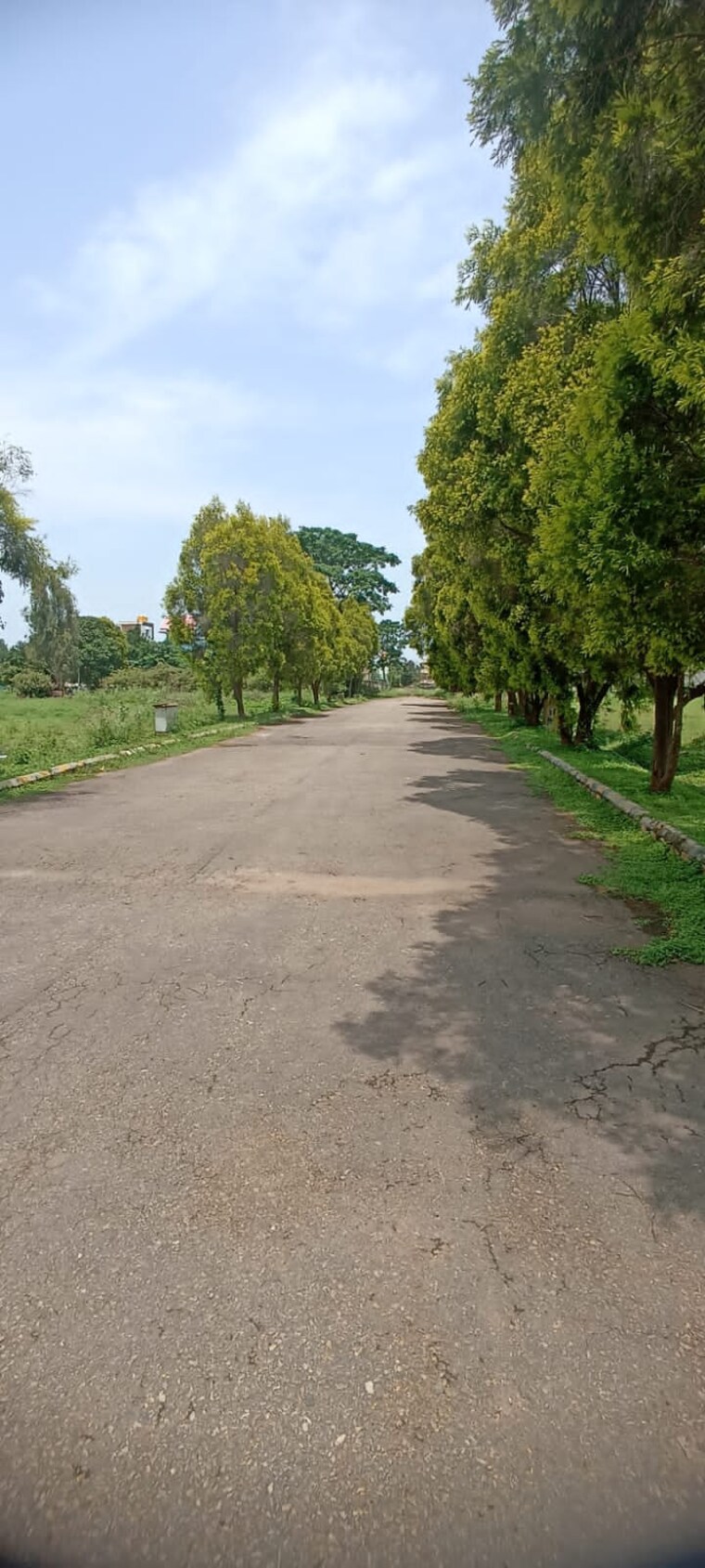 Garden, sai-prasanthi-nr-enclave  2400 Sq.Ft. Plot In Hosur Road Bangalore 9272136